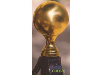 Remate bola l/br.65x100-2606lb
