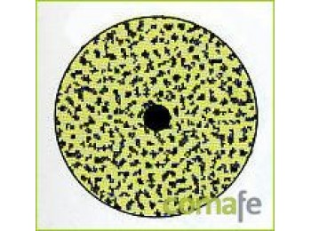 Disco lija 125mm gr120 10pz
