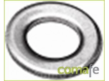 Arandela d125 inox 8,4x17 6pz