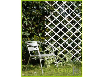 Celosia extens. blanca 1x3 tre