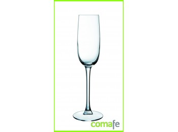 Copa flauta 16cl vidrio versal