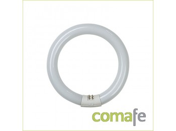 Tubo fluorescente circular 22w