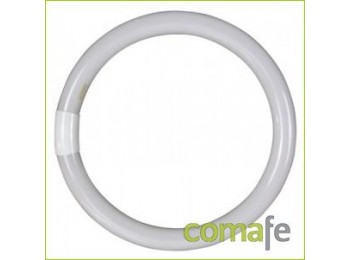 Tubo fluorescente circular tri