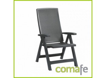 Sillon multipo.montreal antrac