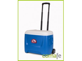 Nevera rigida iglo coolers 26l