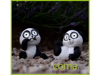 Oso panda ojos brillantes con