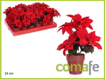 Maceta poinsettia 24 cm