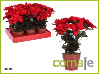 Maceta poinsettia 38 cm