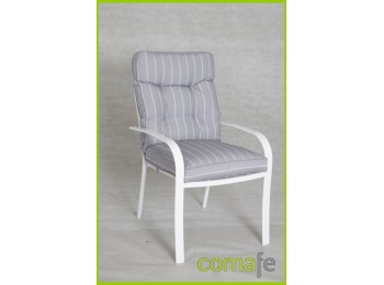 Silla jardin hierro con cojin