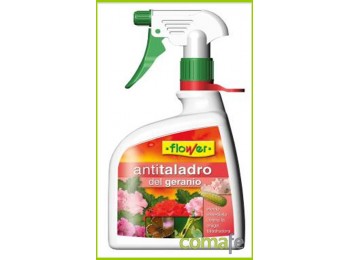 Insecticida geranios anti tala