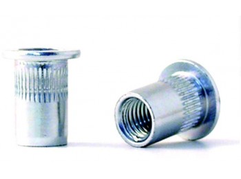 Tuerca en10016 m-06 cinc 250 p