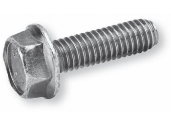 Tornillo 6921 c/hex. 08x030mm