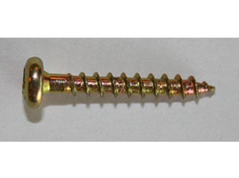 Tornillo 02,5x016mm ltdo. 1.00