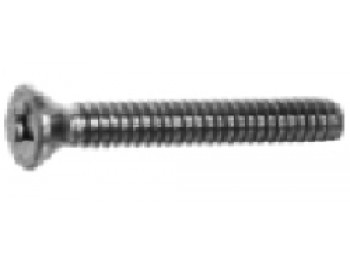 Tornillo r/metr. 963 06x020mm