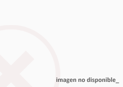 GUIADOR INFERIOR VIDRIO 40/57