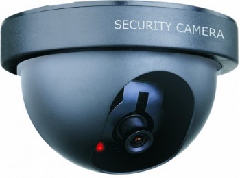 Camara falsa domo