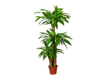 Planta artif. 145cm dradena