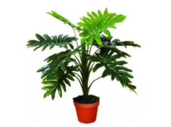 Planta artif. 70cm filodendro