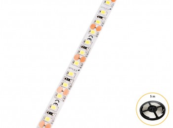 Tira led 6000k 5mt lynx