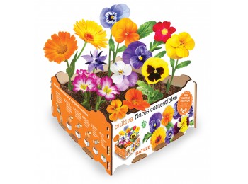 Huerto urbano flores comestibl